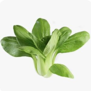 Chinesinha (Bok Choy)