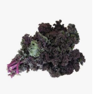 Couve Kale roxa